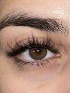 Lash Sensation Silk Touch